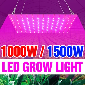 1500W Quantum Board LED Growth Light 220V Фитолампы полного спектра 1000W Фито-лампы для освещения растений, Палатка для выращивания, Штепсельная вилка США, ЕС, Великобритания